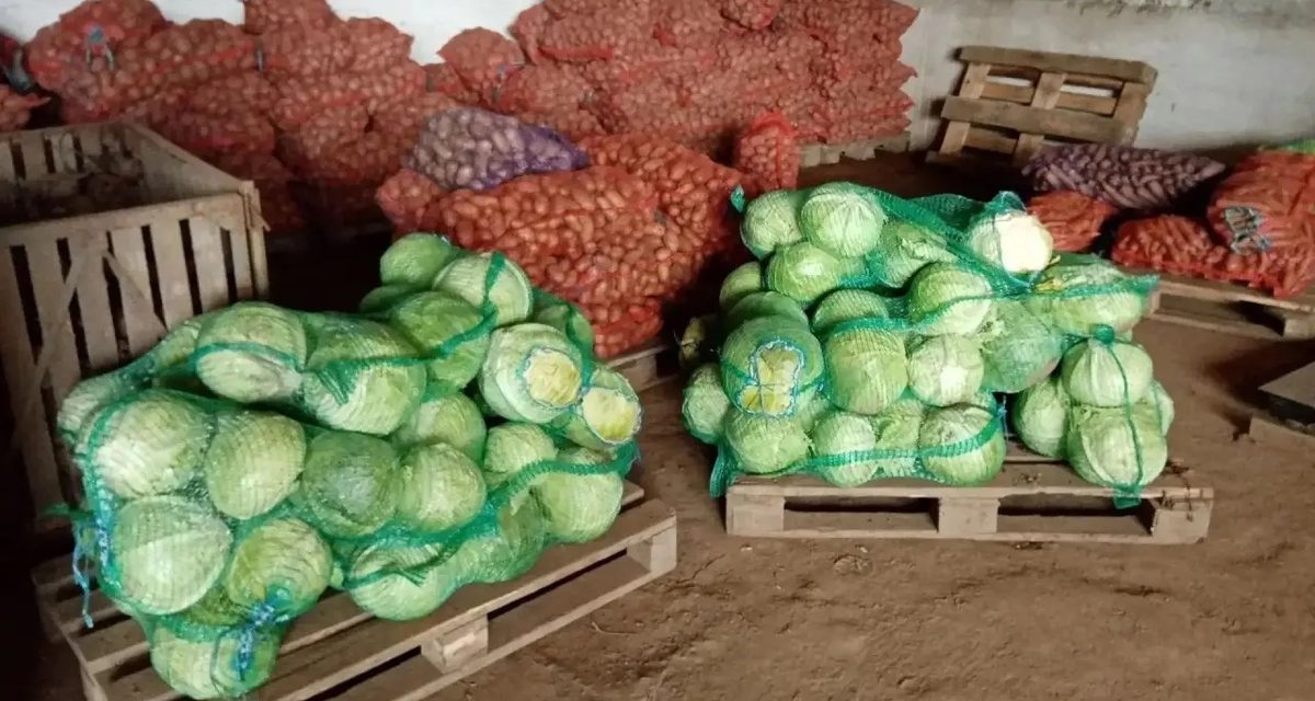 Аграрии Забайкалья собрали 9,4 тысячи тонн картофеля, Читинский округ стал лидером