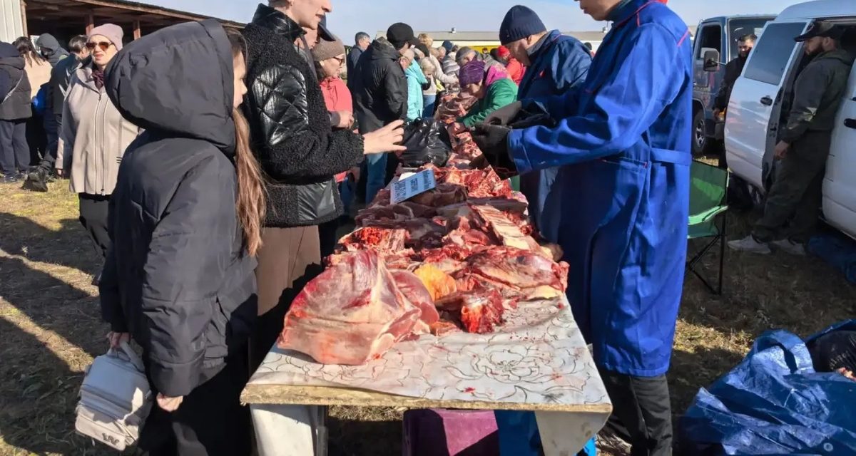 В Заречном открылась ярмарка «Золотая осень Забайкалья» с местными продуктами и конными соревнованиями