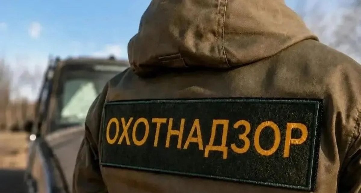 В Забайкалье ввели выплату 15 тысяч рублей за добычу медведя на фоне выходов к сёлам