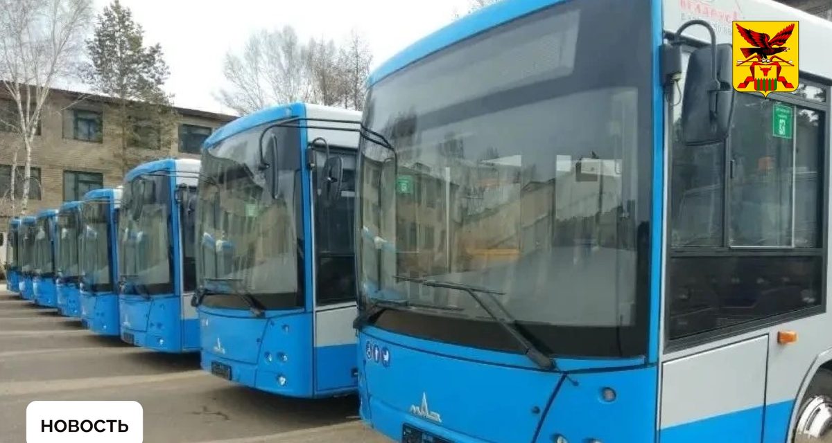 В Чите на сэкономленные при закупке автобусов деньги купят ещё четыре машины